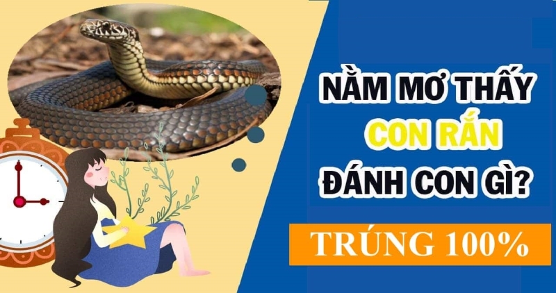Số đề con rắn