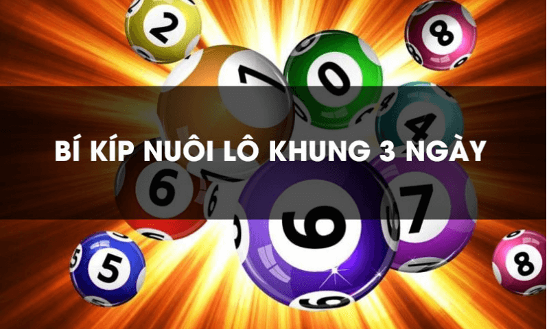 lô khung chanh chua