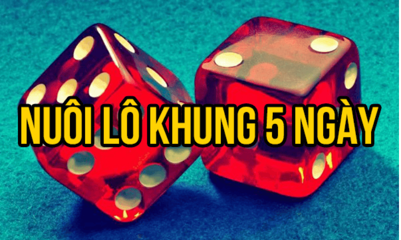 lô khung chanh chua