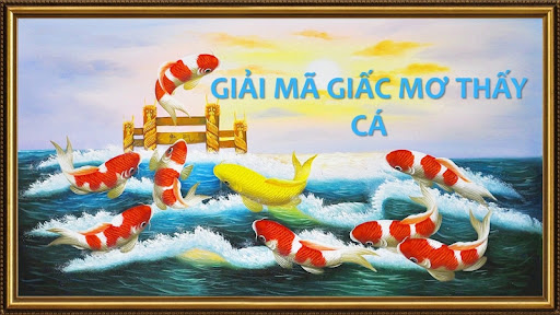 số đề con cá