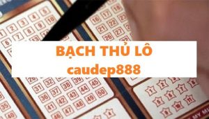 Soi caudep888