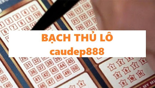 Soi caudep888