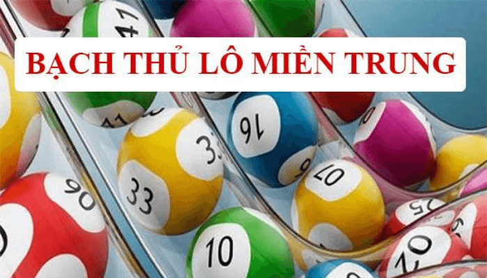 bạch thủ lô miền trung