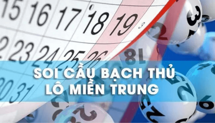 bạch thủ lô miền trung