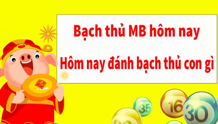 bạch thủ đề miền bắc hôm nay